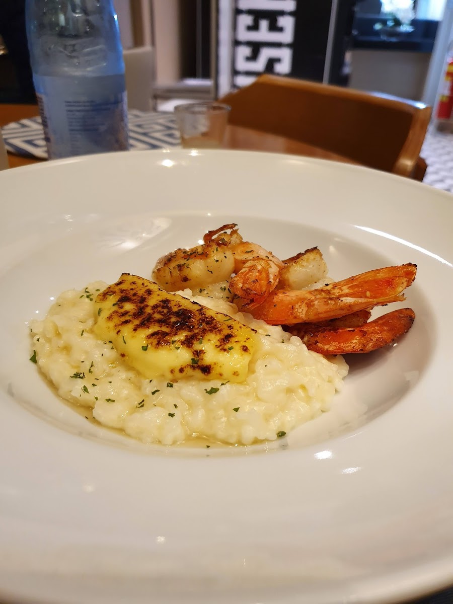 Maca Padoquinha Photos 2